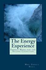 The Energy Experience