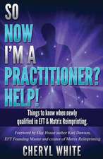 So Now I'm a Practitioner? Help!