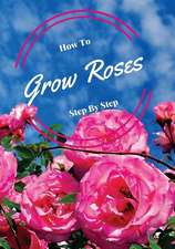 How to Grow Roses Step by Step