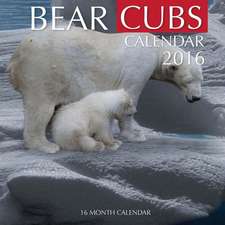 Bear Cubs Calendar 2016