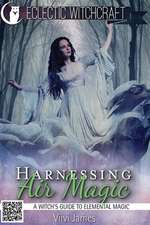 Harnessing Air Magic (a Witch's Guide to Elemental Magic)