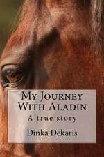 My Journey with Aladin