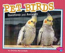 Pet Birds: Questions and Answers