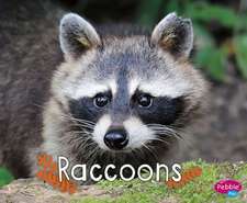 Raccoons