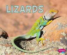 Davin, R: Lizards