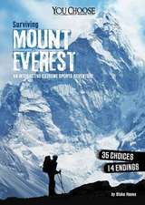 Surviving Mount Everest