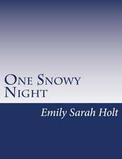 One Snowy Night