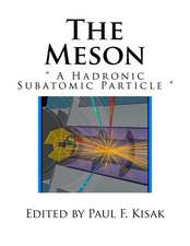 The Meson