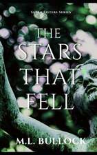 The Stars That Fell