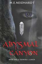 Abysmal Canyon: A Young Adult/New Adult Crossworlds Science Fantasy Novel (Domina Lumen Book 1)