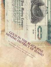 Gold in the Black Pine Mining District of Idaho