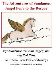 The Adventures of Sundance, Angel Pony to the Rescue