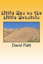 Little Men on the Little Mountain