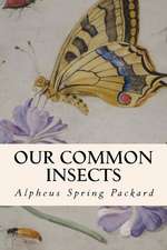 Our Common Insects