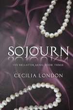 Sojourn: A Lake Superior Mystery
