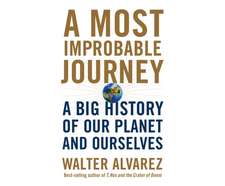 A Most Improbable Journey: A Big History of Our Planet and Ourselves