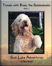 Travels with Brody the Goldendoodle Book 1 Gull Lake Adventures