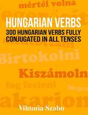 Hungarian Verbs