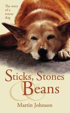 Sticks, Stones & Beans