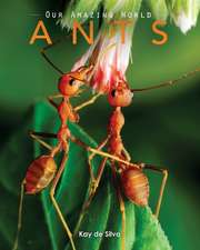 Ants