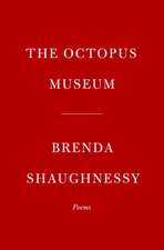 The Octopus Museum