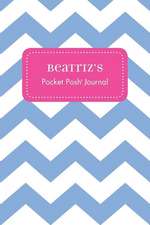 Beatriz's Pocket Posh Journal, Chevron