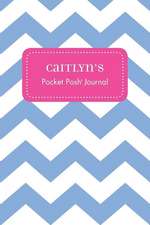 Caitlyn's Pocket Posh Journal, Chevron