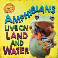 Ridley, S: In the Animal Kingdom: Amphibians Live on Land an