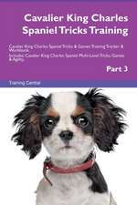 Cavalier King Charles Spaniel Tricks Training Cavalier King Charles Spaniel Tricks & Games Training Tracker & Workbook. Includes