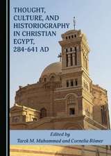 Thought, Culture, and Historiography in Christian Egypt, 284-641 AD