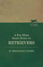 A Few More Short Notes on Retrievers