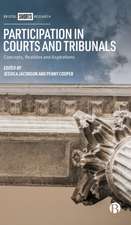 Participation in Courts and Tribunals – Concepts, Realities and Aspirations