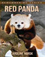 Red Panda