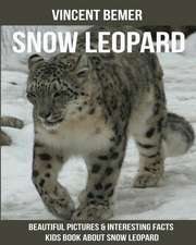 Snow Leopard