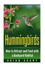 Hummingbirds