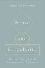 Sense and Singularity