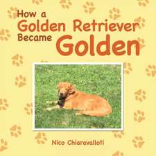 How a Golden Retriever Became Golden