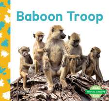 BABOON TROOP