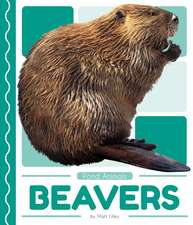 Beavers