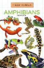 Seigel, R: Amphibians