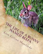 The Life of a Bunny Named Beepa