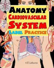 Anatomy Cardiovascular System Label Practice