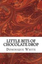 Little Bits of Chocolate Drop