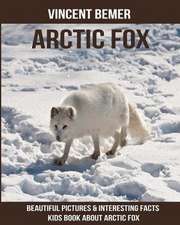 Arctic Fox