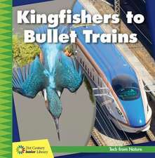 Kingfishers to Bullet Trains