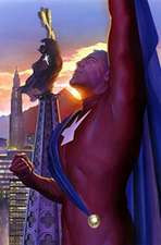 Astro City Metrobook Volume 1