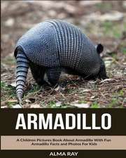 Armadillo