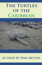 Turtles of the Caribbean as Told by Niki Aktipis