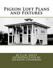 Pigeon Loft Plans and Fixtures