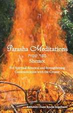Parasha Meditations